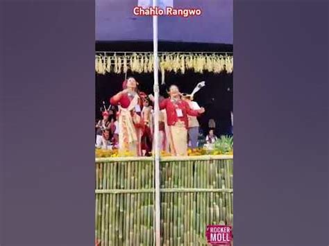 关注蜜桃视频网址变动，用户如何及时跟进